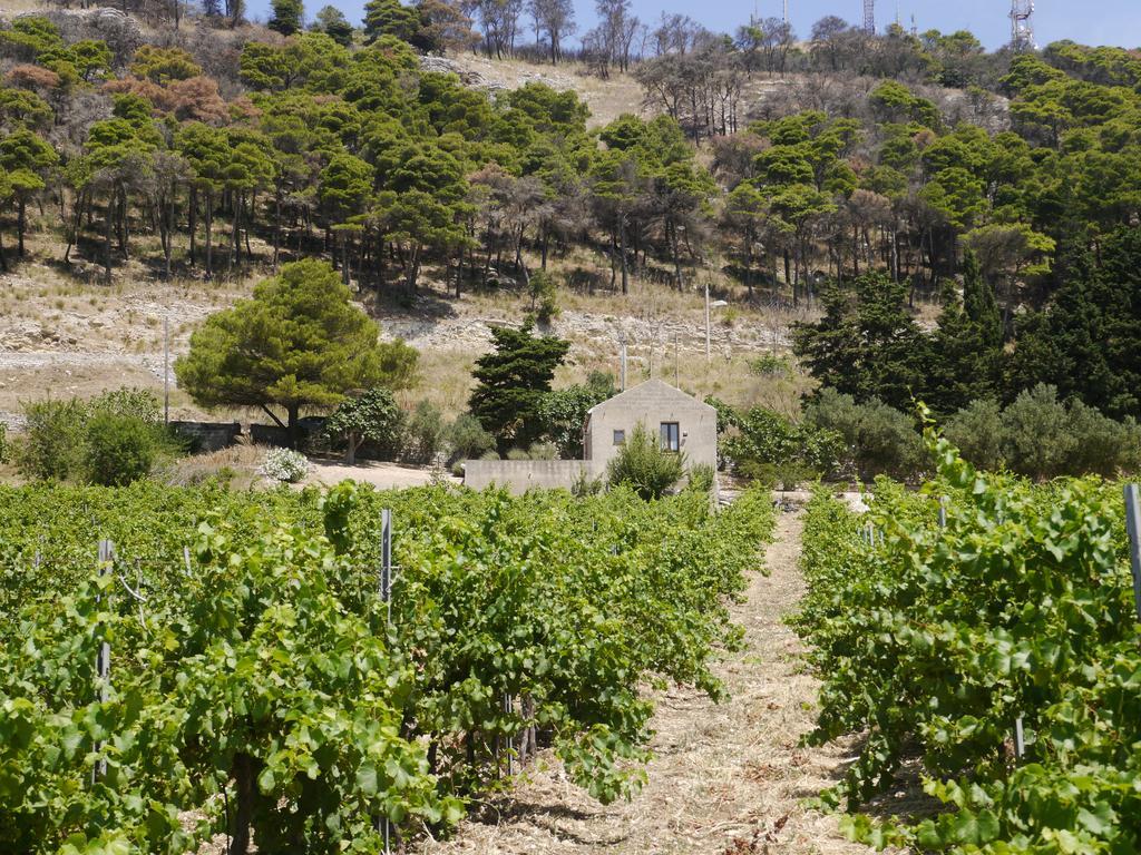 Pensjonat Casa Nel Vigneto Erice Zewnętrze zdjęcie