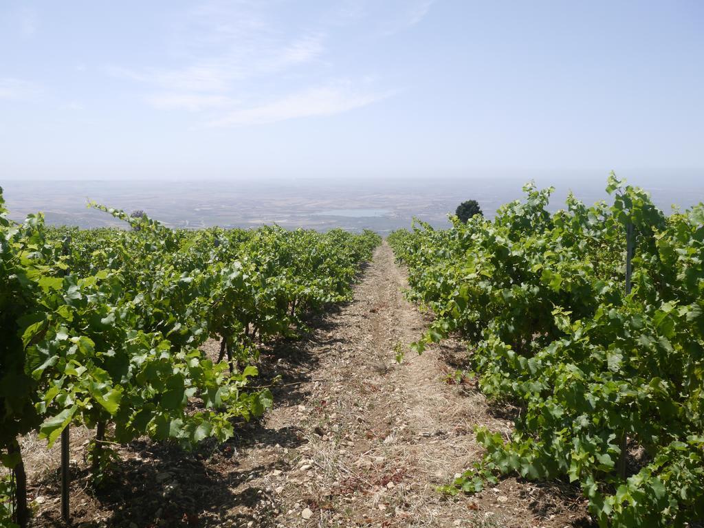 Pensjonat Casa Nel Vigneto Erice Zewnętrze zdjęcie