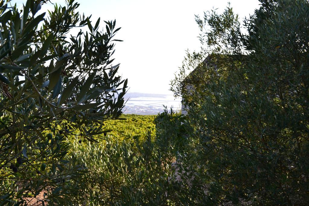Pensjonat Casa Nel Vigneto Erice Zewnętrze zdjęcie